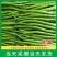 【精品辣椒】线椒，大量有货，产地直供，质量保证，欢迎咨询