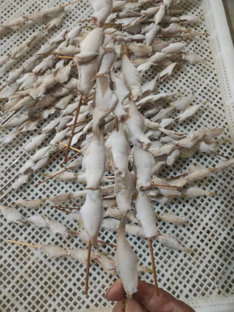 烧烤串、马面鱼串、4条一串、净重15斤/件、烧烤用料