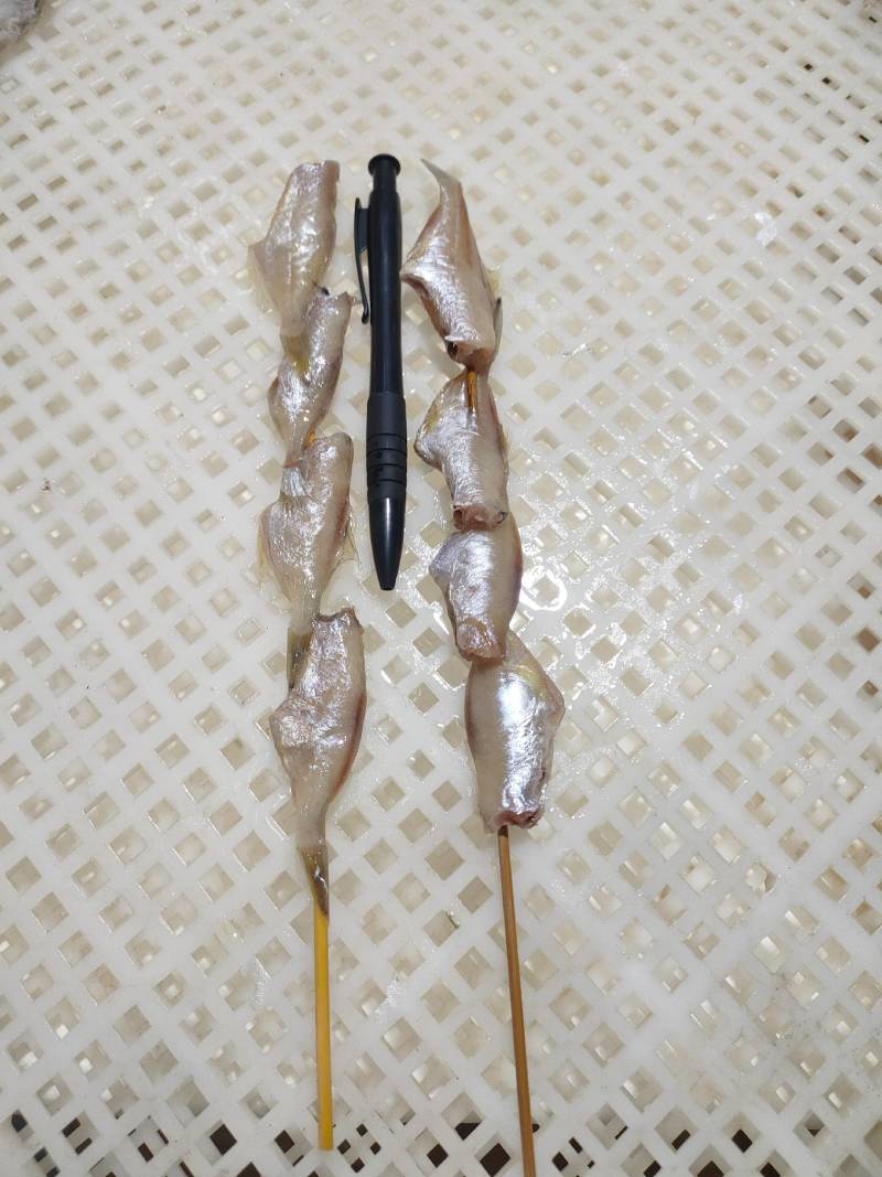烧烤串、马面鱼串、4条一串、净重15斤/件、烧烤用料