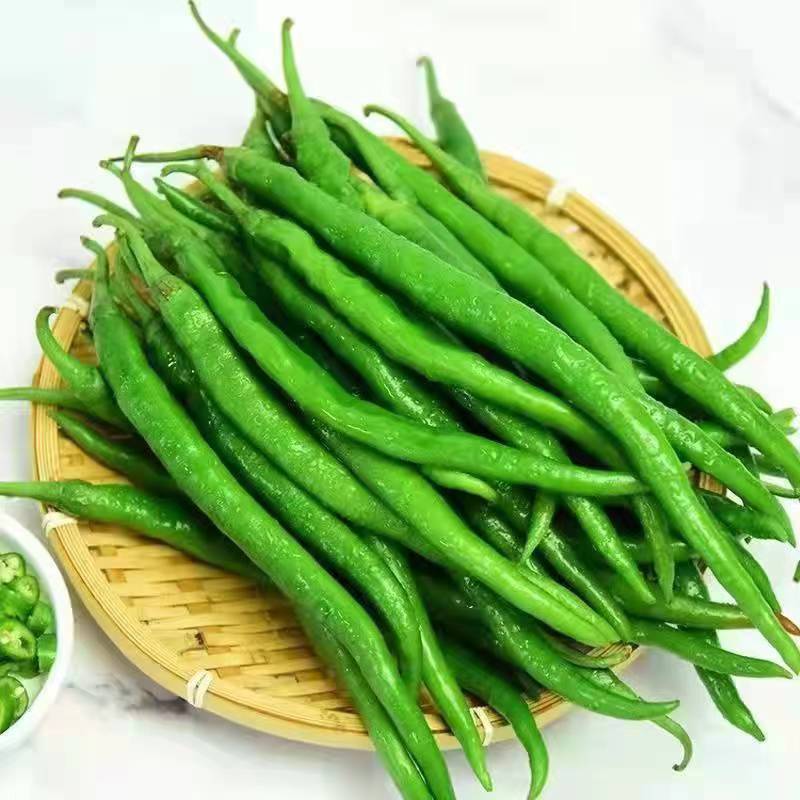 万亩辣椒种植基地【线椒】，现摘现采，产地直供，质量保证