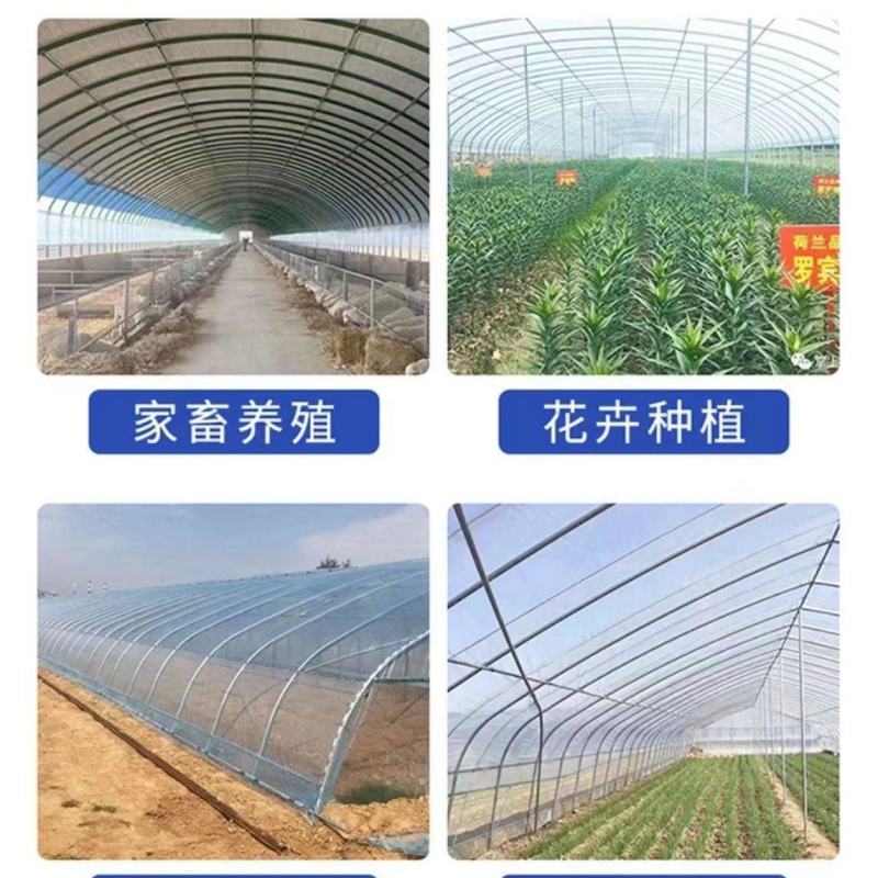 常年生产养养大棚养牛棚养猪棚全国发货上门安装