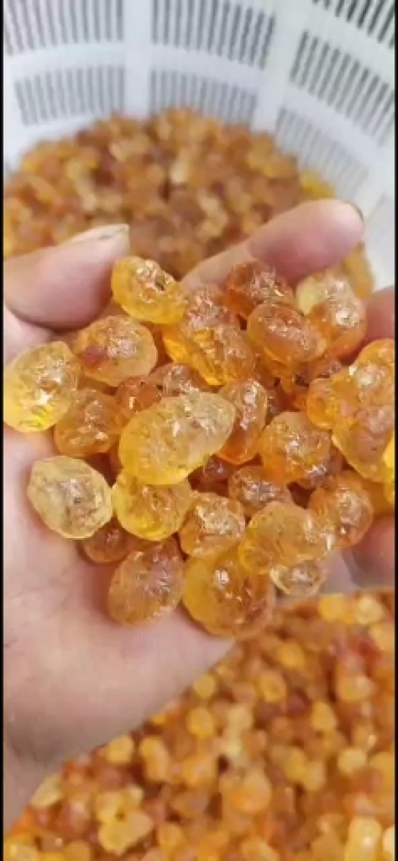 源头产地精品精修桃胶无硫磺无糖无杂粒粒饱满