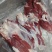 国产纯纯腱子肉