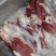 国产纯纯腱子肉