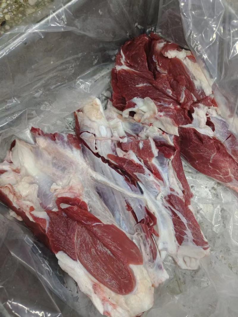 国产纯纯腱子肉