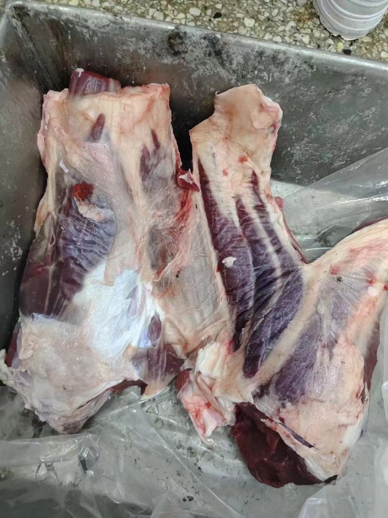 国产纯纯腱子肉