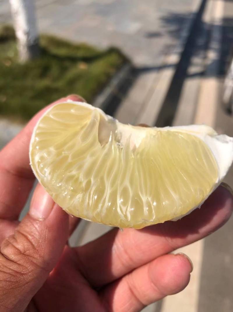 雪峰柚麻麻柚大量供应电商社区团购超市批发