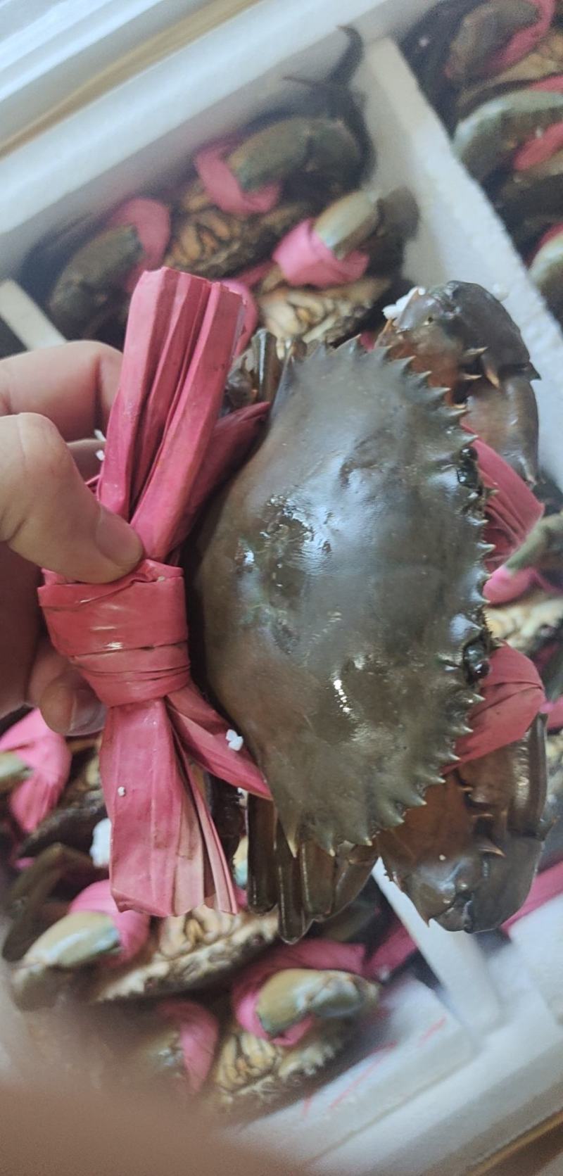 可对接线上主播，酒店，超市，