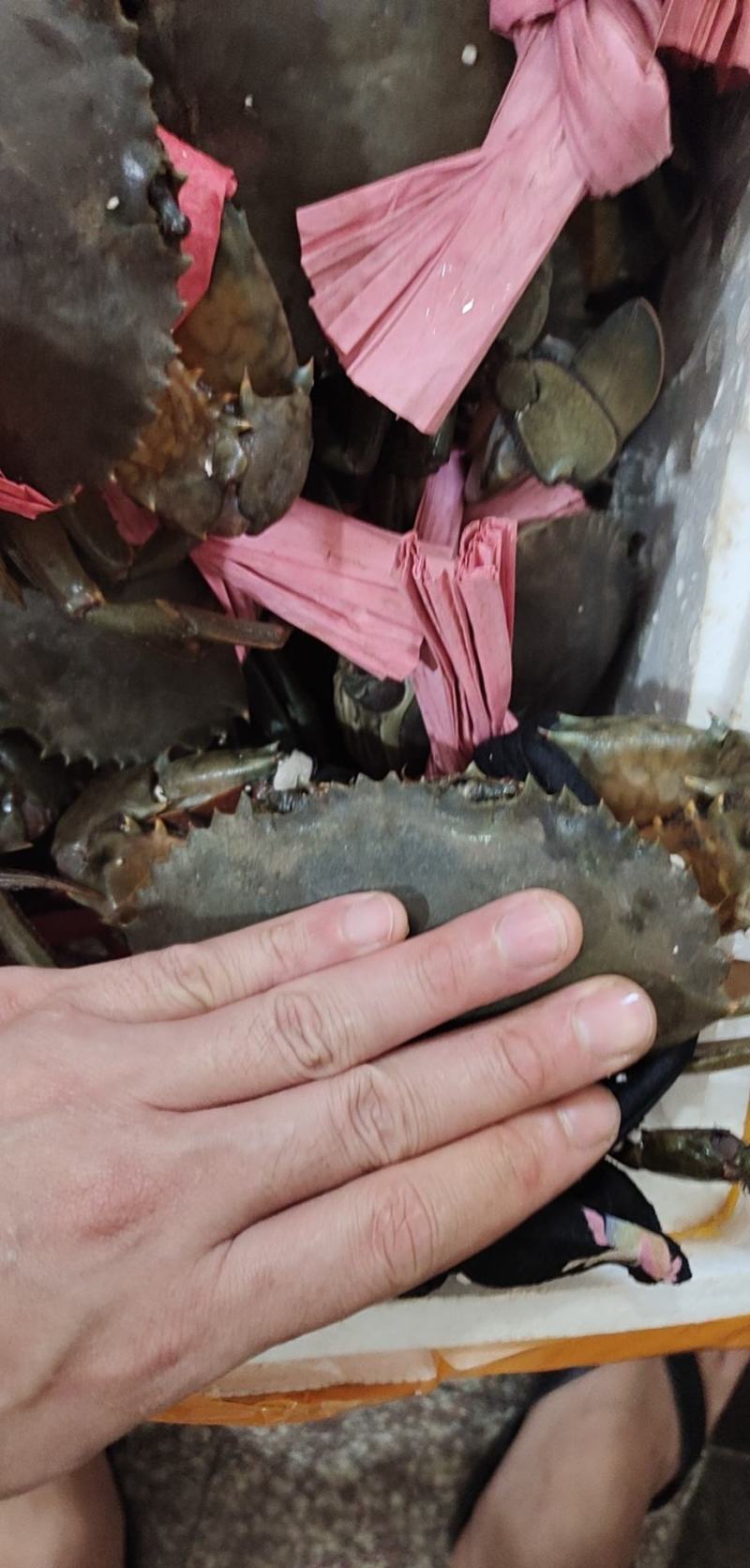 可对接线上主播，酒店，超市，