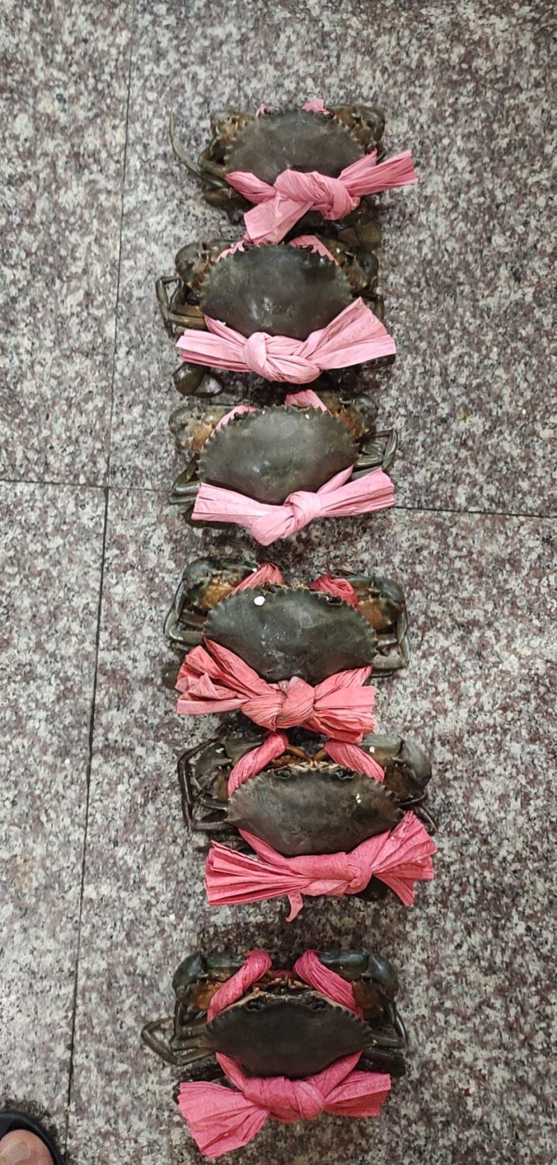 可对接线上主播，酒店，超市，