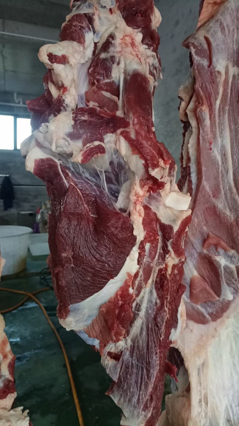 国产纯干牛肉