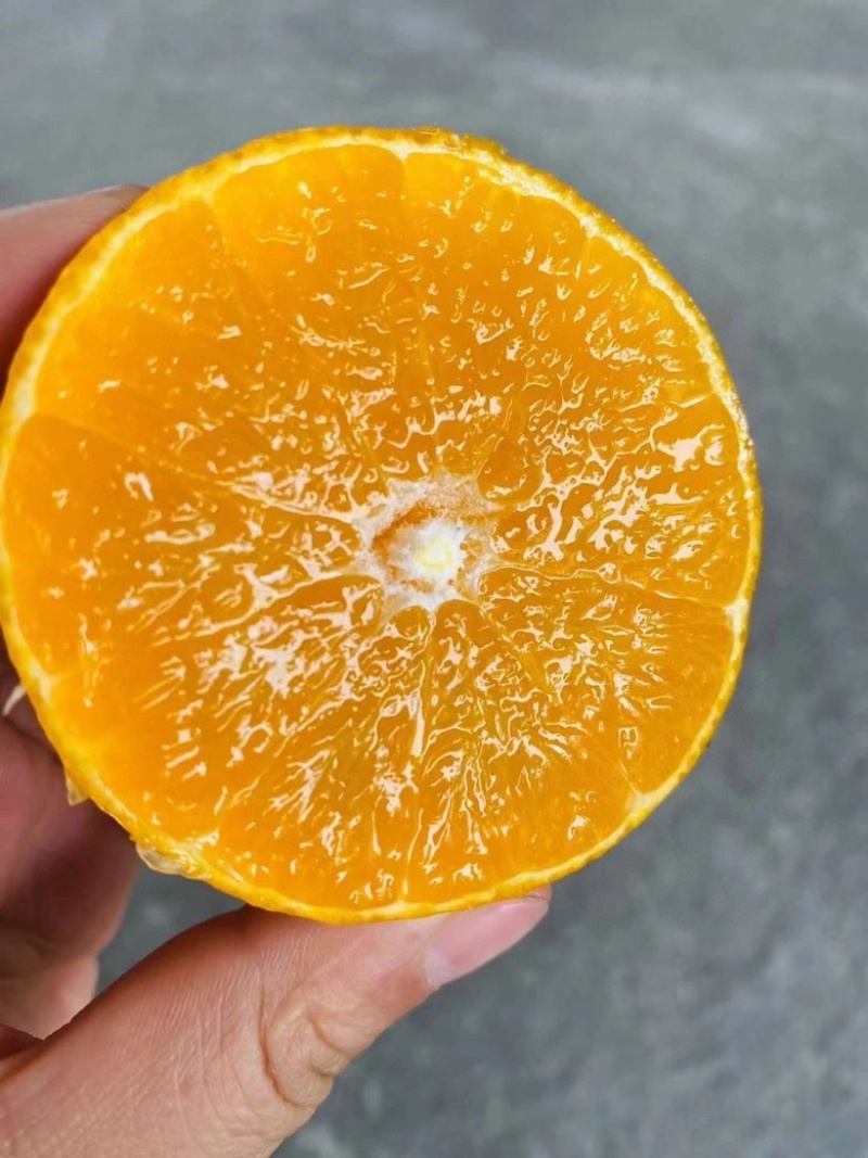 爱媛果冻橙，产地直销，量大从优，可供电商，超市