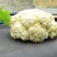 精品菜花大量上市产地直发欢迎选购