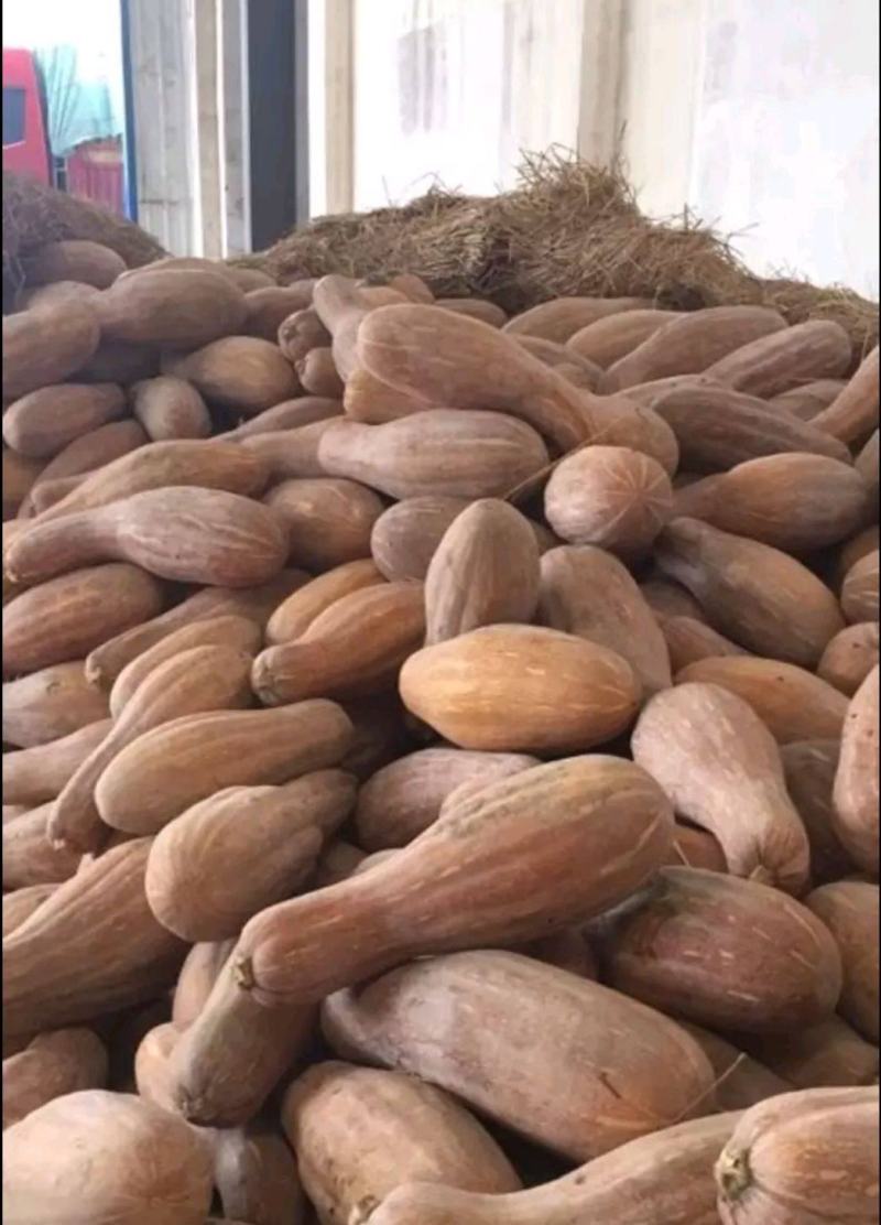 南瓜