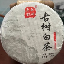 古树白茶