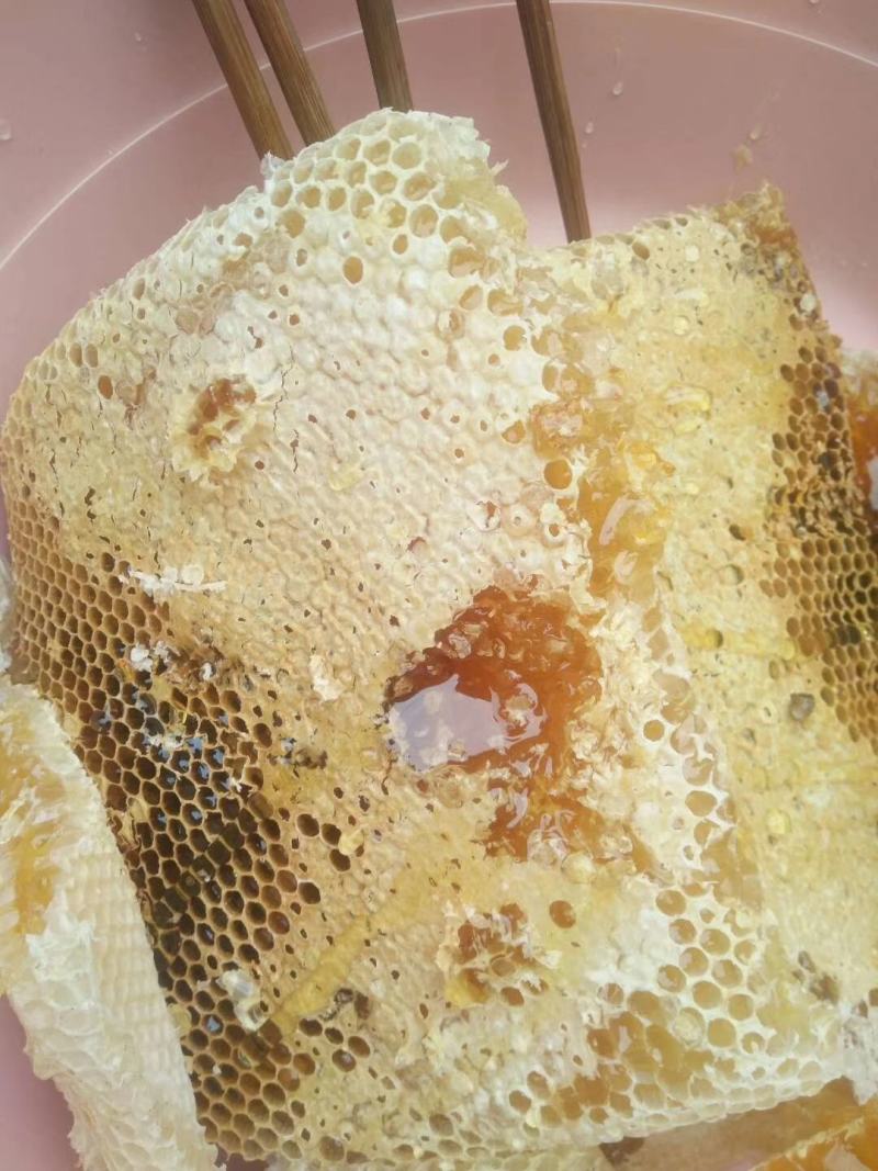 大凉山中华蜜