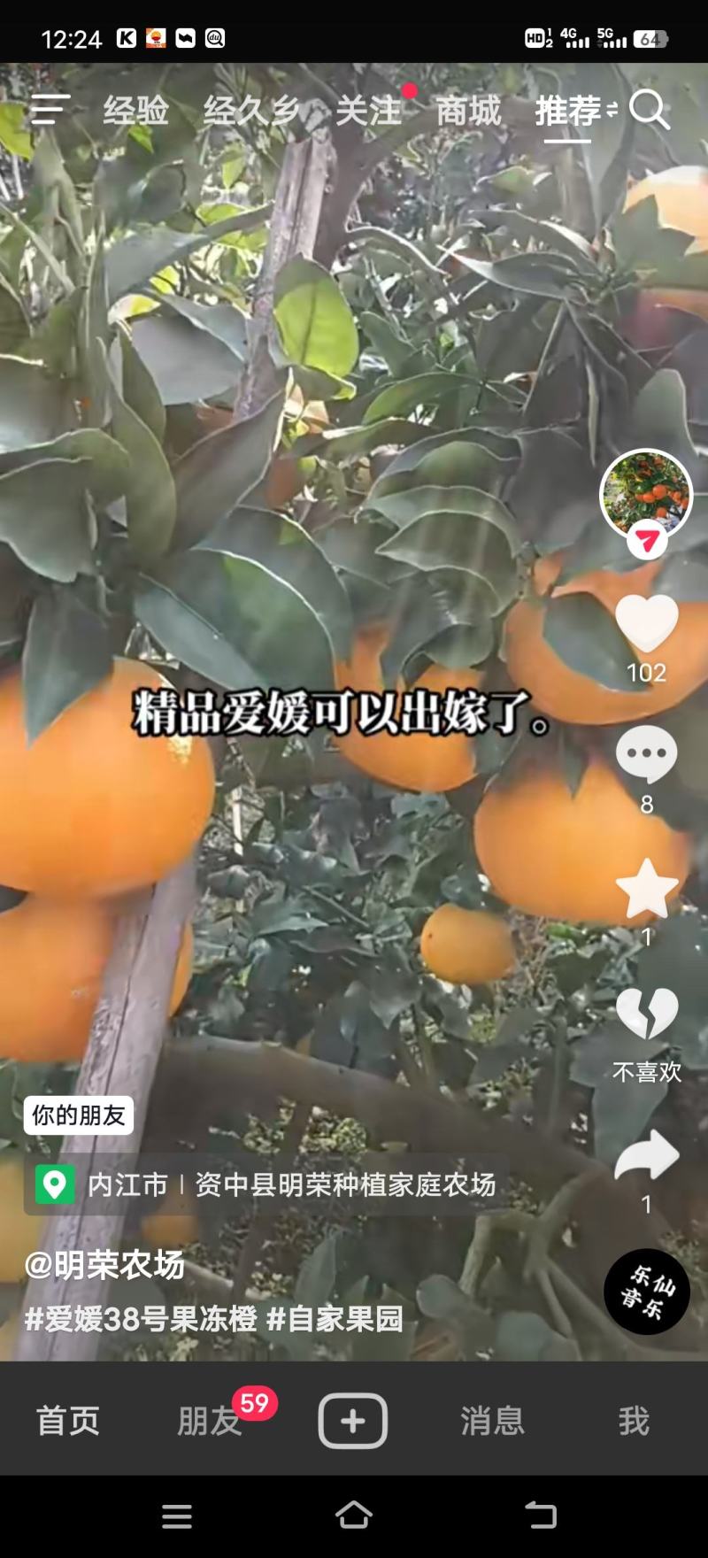 优质爱媛果冻橙，大量上市，颜色火红，味道纯甜，一手货源