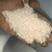 东北长粒香大米抛光碎米中科发五可做粥米可以酿酒