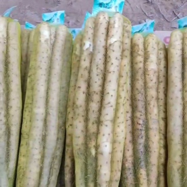 小白嘴山药，超市包装，电商包装，水洗包装，规格齐全！！！