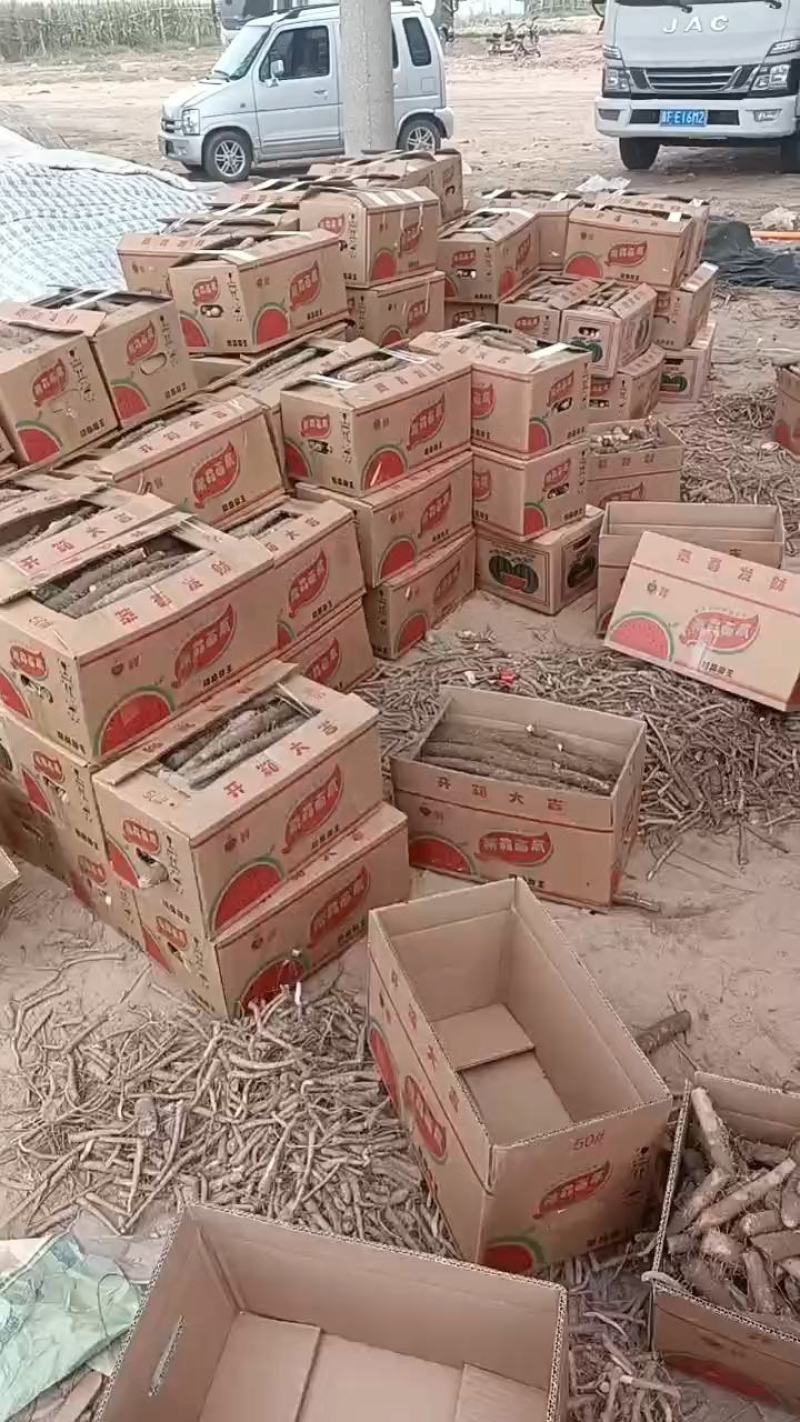 小白嘴山药，超市包装，电商包装，水洗包装，规格齐全！！！