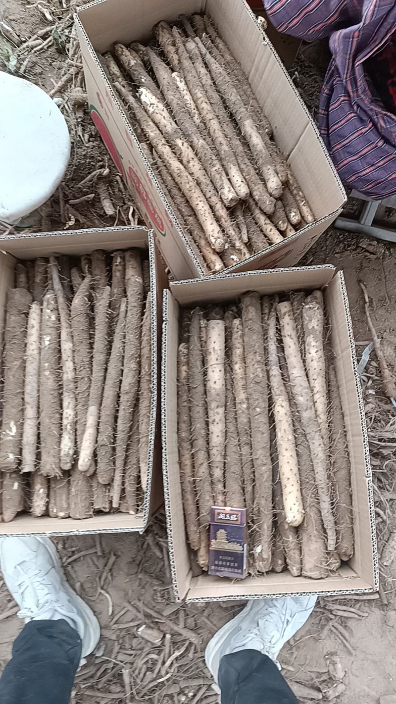 小白嘴山药，超市包装，电商包装，水洗包装，规格齐全！！！