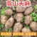 陕西省汉中市宁强县，高山红天麻，量大从优欢迎老板光临