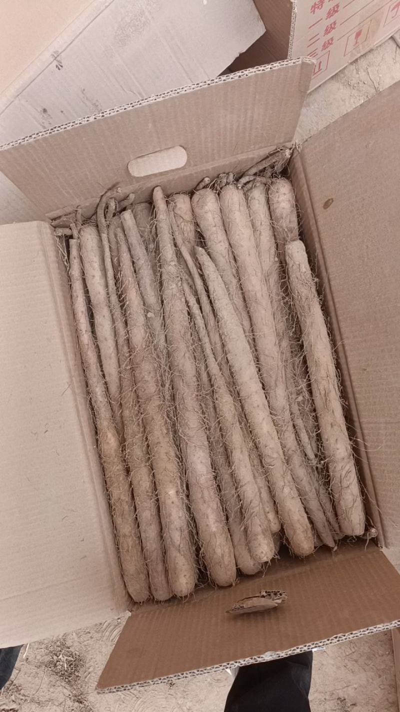 淮山药，大货，二级货，超市用品，电商用品，假铁棍！！！！