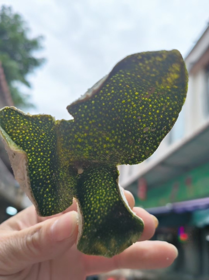 三花青皮