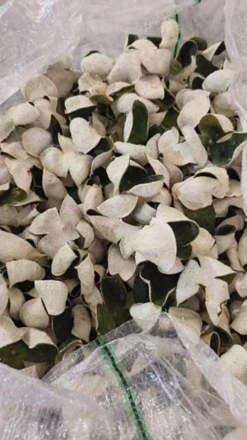 三花青皮