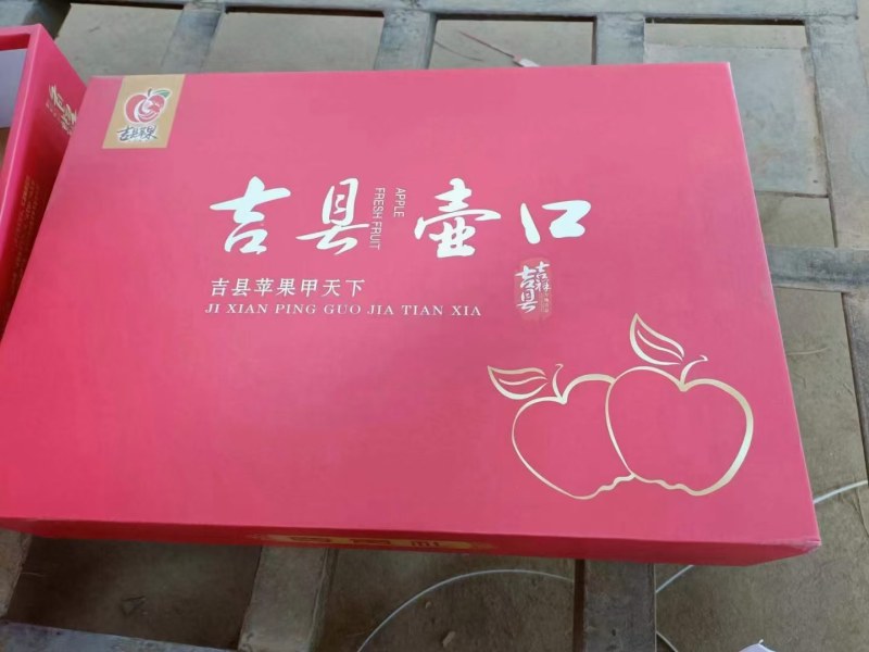 d吉县红富士苹果需要的客商前来选购
