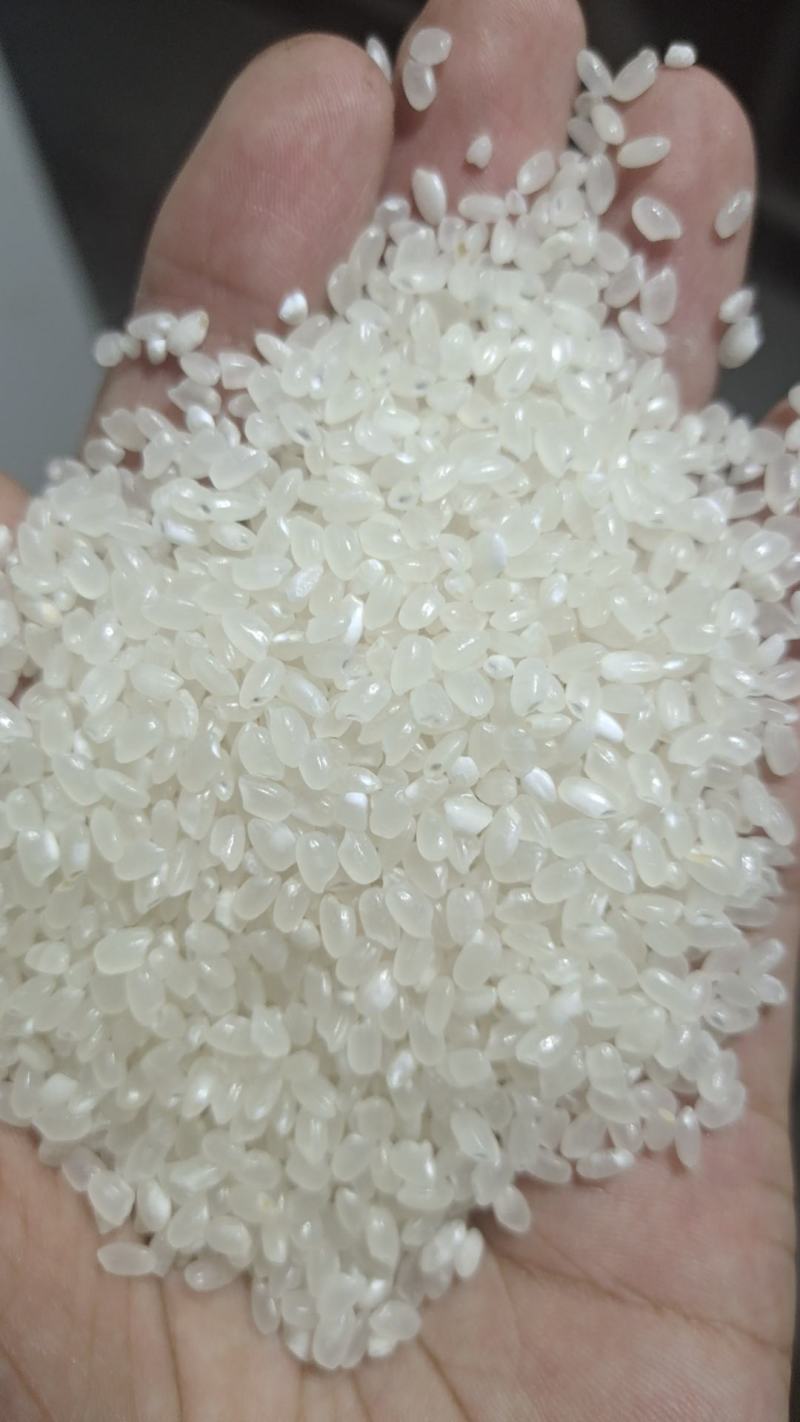 苏北珍珠米