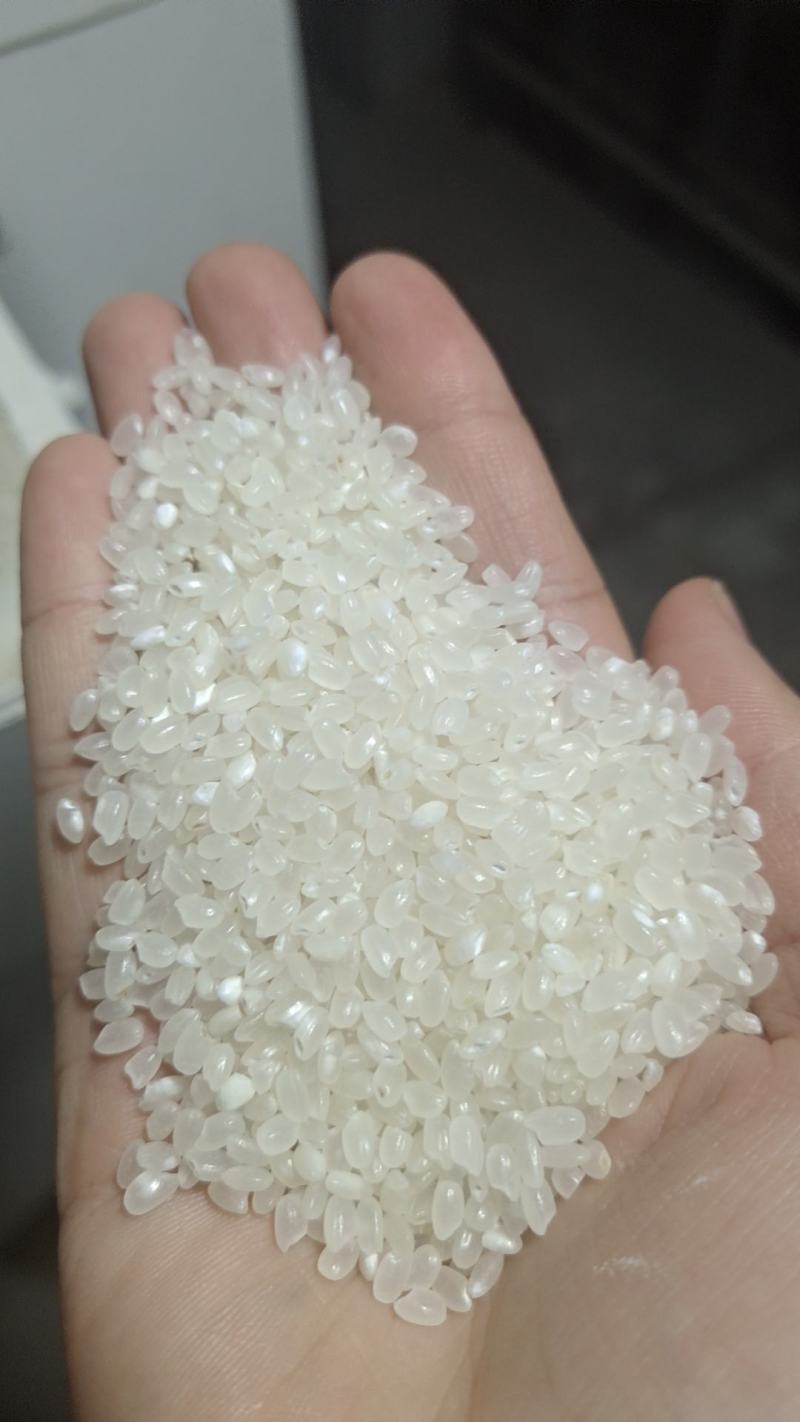 苏北珍珠米
