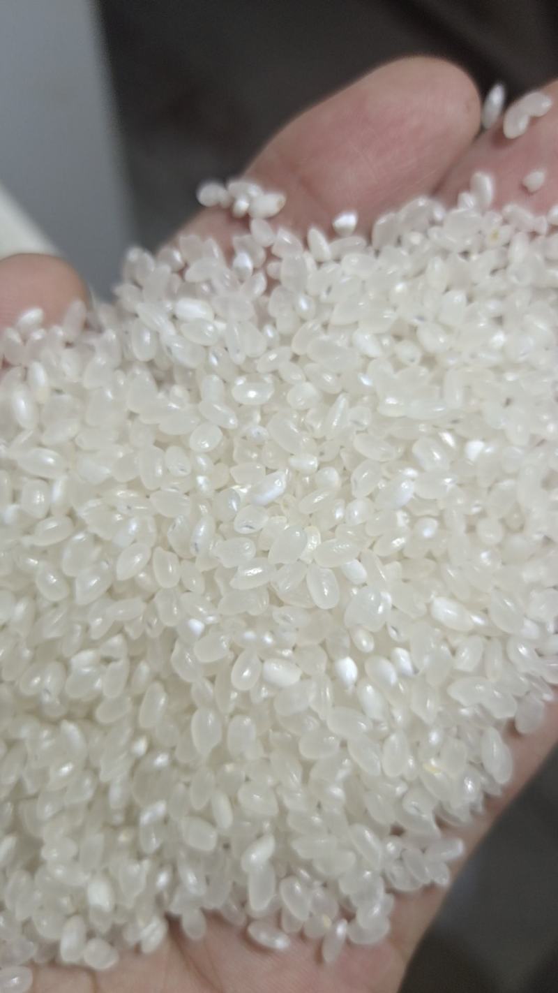 苏北珍珠米