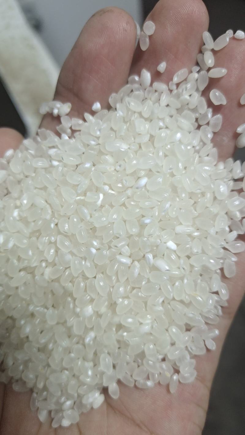 苏北珍珠米