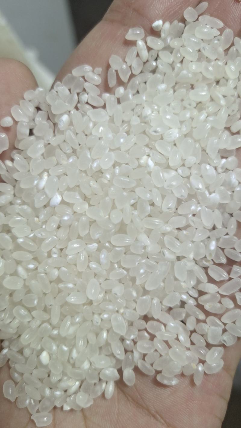 苏北珍珠米