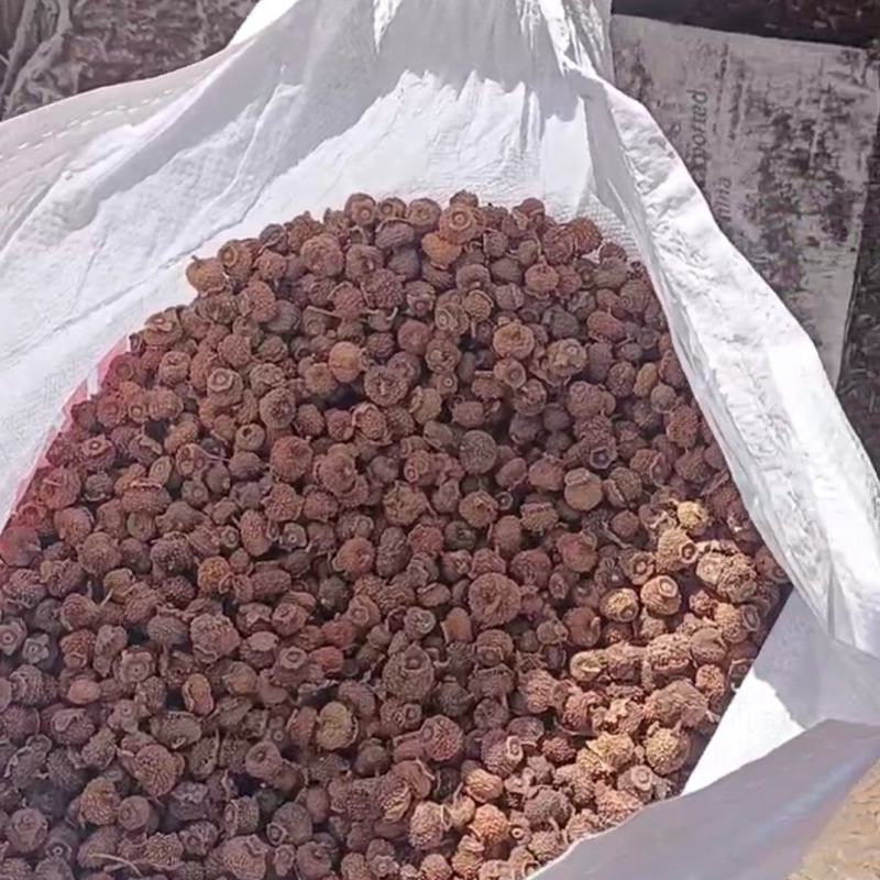 精品贵州刺梨干果一没有黑果