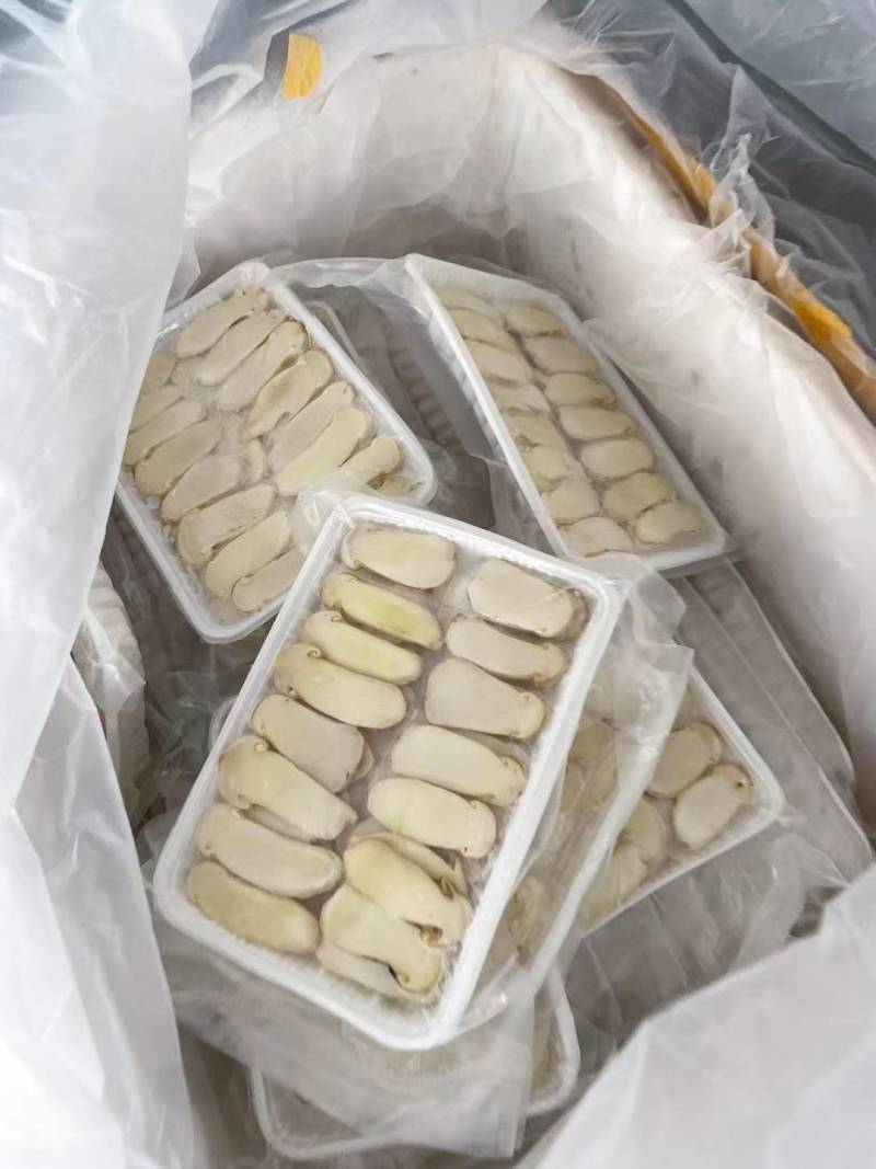 冻干松茸片
