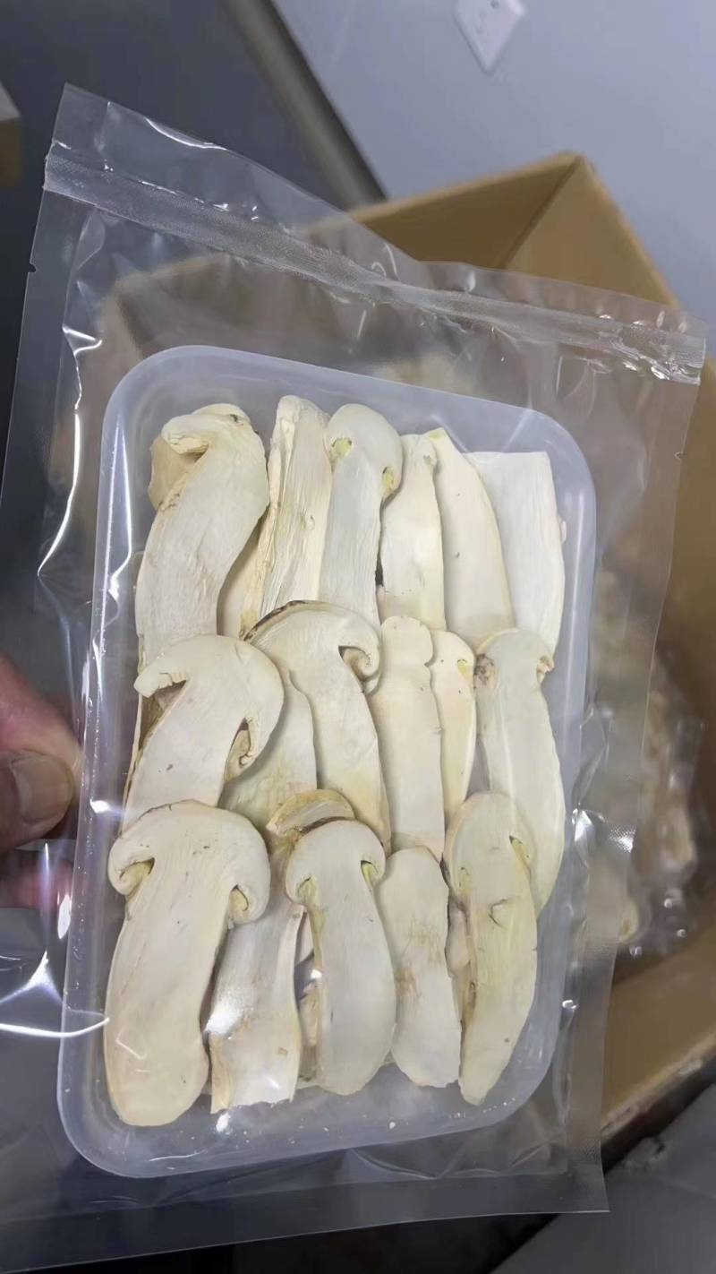 冻干松茸片