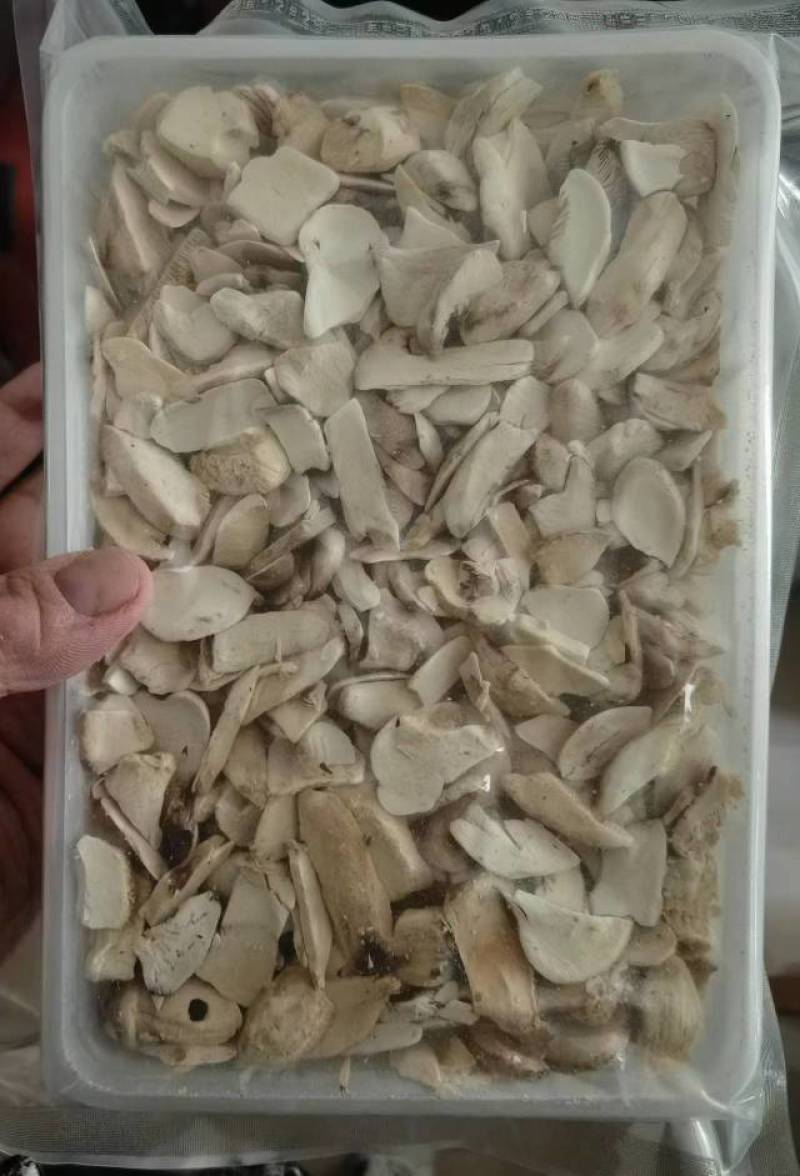 冻干松茸片