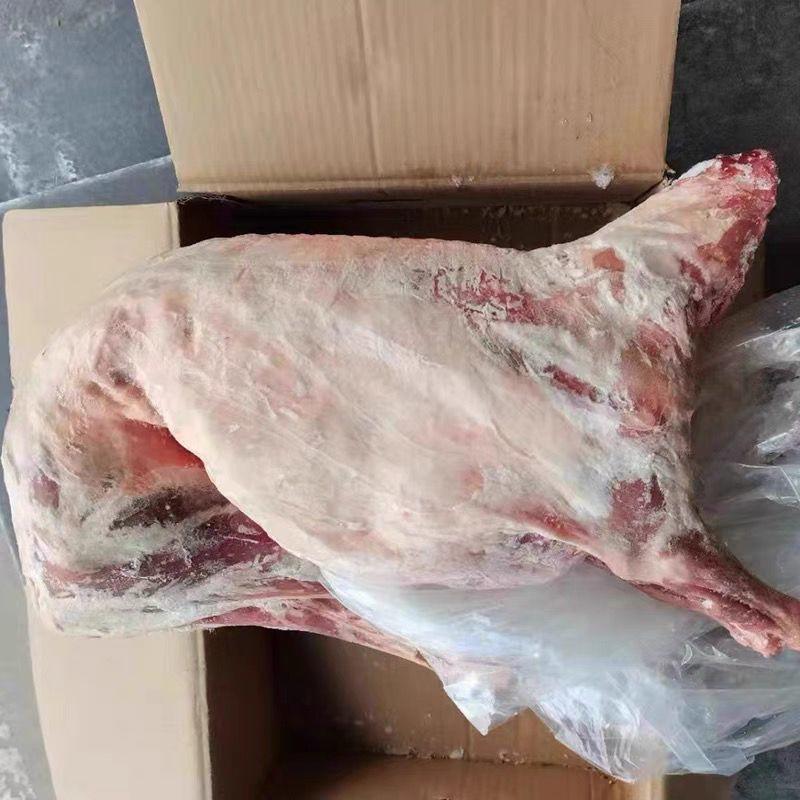 [热卖]内蒙古锡林郭勒盟白条羊羊肉新鲜发货