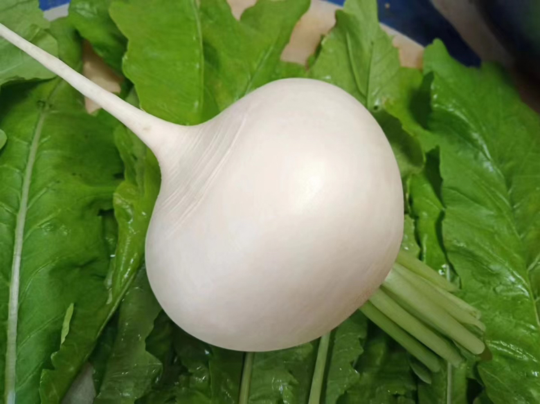 圆白菜炒菜成品图