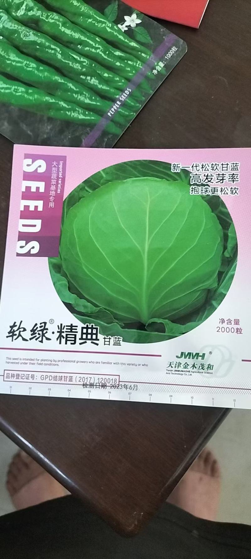 精品甘蓝苗山东寿光，基地直发，量大从优