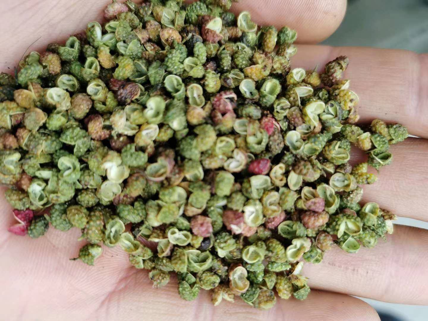 优质花椒与劣质花椒对比图
