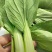 广东菜心，小青菜，杭白菜