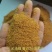 小麦麸皮，次粉，玉米白皮，喷浆玉米皮，玉米酒糟等