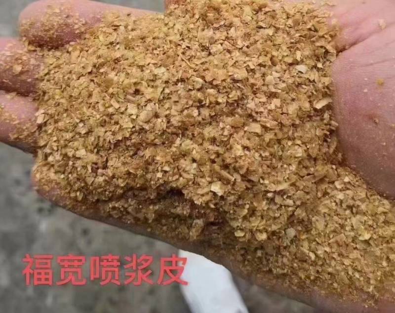小麦麸皮，次粉，玉米白皮，喷浆玉米皮，玉米酒糟等