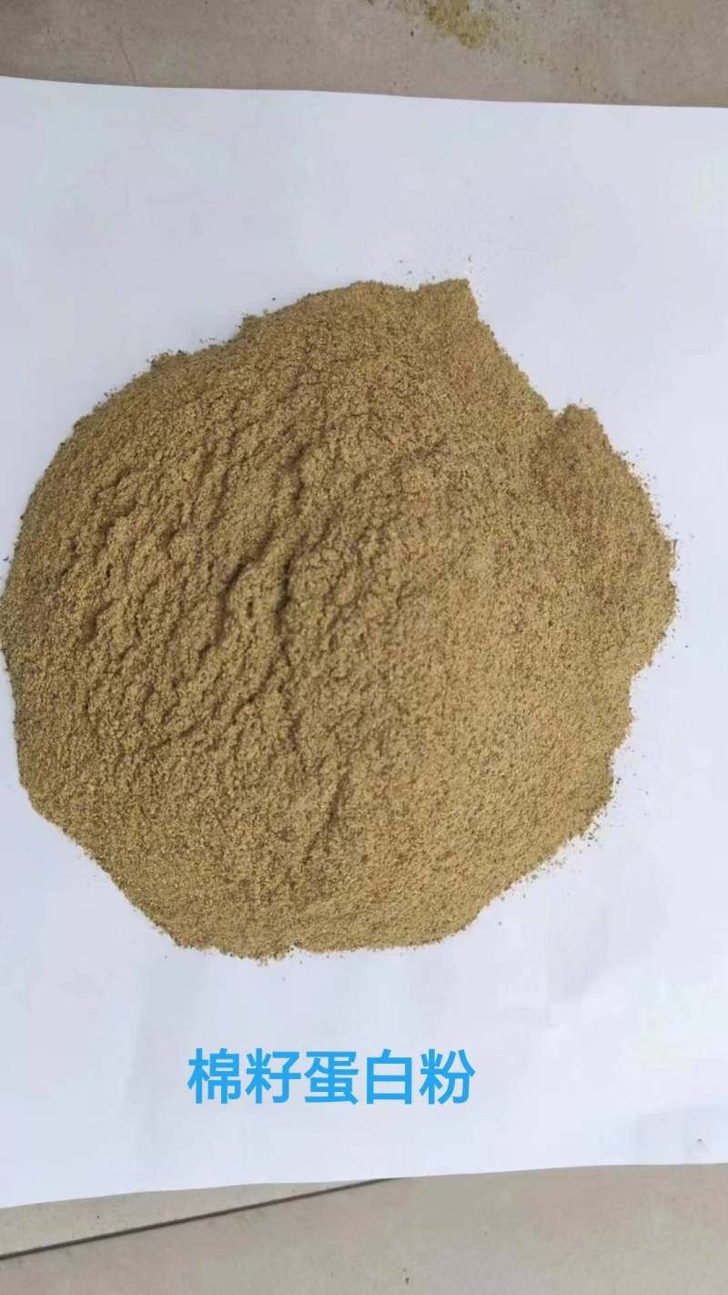 小麦麸皮，次粉，玉米白皮，喷浆玉米皮，玉米酒糟等
