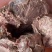新鲜牛肉味冷冻半成品生牛腱子猪腱子整箱20斤卤菜饭店食材