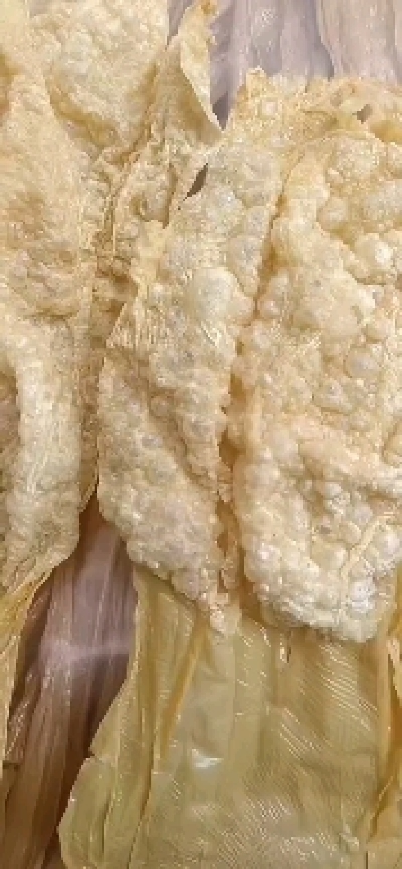 桂平社坡腐竹