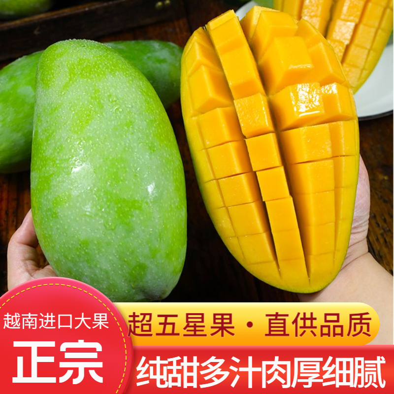 正宗大青芒新鲜上市